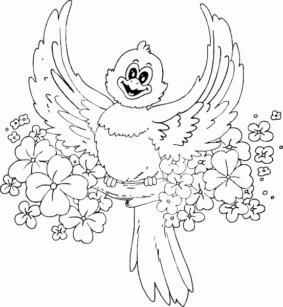 spring bird coloring page - coloring.com