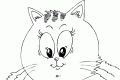 Gato cabezón