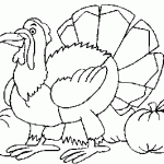 free printable turkey page