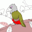 parrot on branch thumbnail colored picture