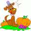 dog with pumpkins thumbnail colored picture