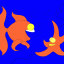 fish and starfish thumbnail colored picture