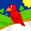parrot on branch thumbnail colored picture