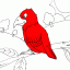 parrot on branch thumbnail colored picture